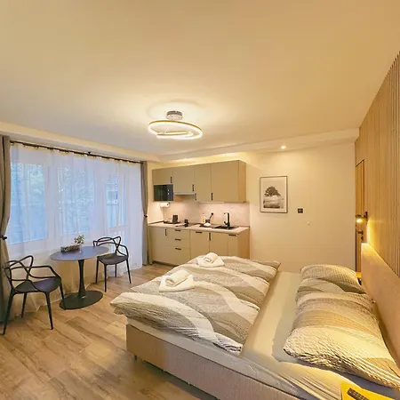 Guest house V Brne - Schodova *