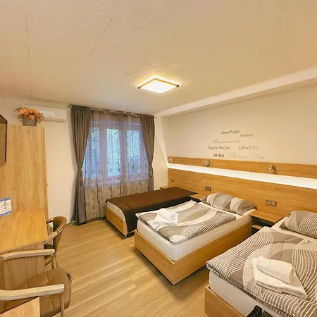 Casa de hóspedes V Brně - Schodová 3*