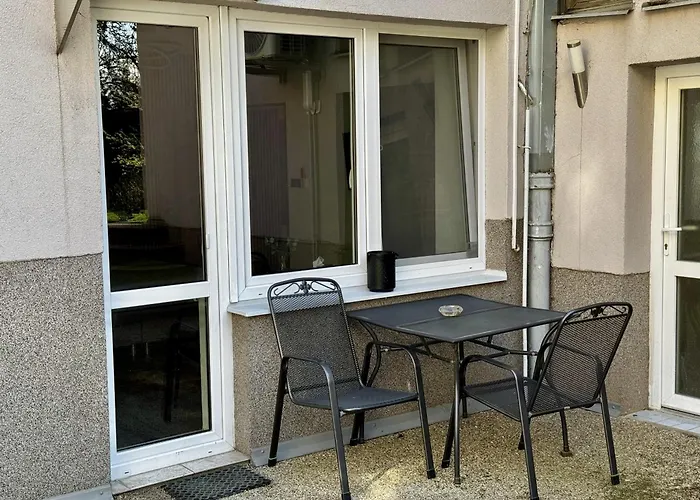 V Brně