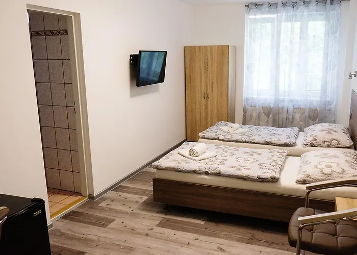 V Brně Brno