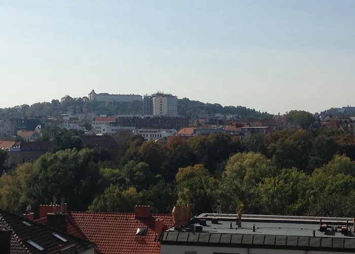 V Brně